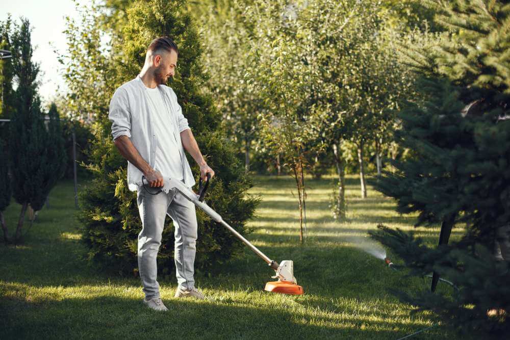 lawn care pic (1)